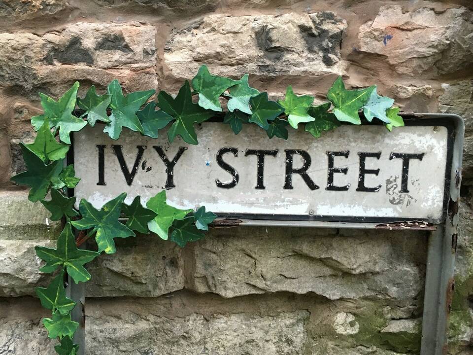 Ivy Street Sign, Ivy House