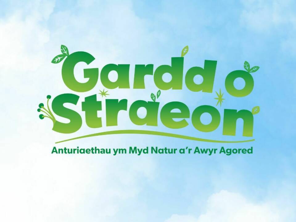 Sesiwn Crefft y Llyfrgell - Llyfrgell Llandudno!