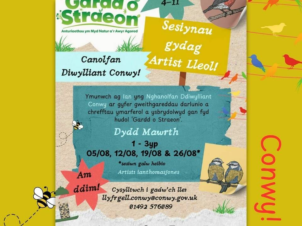 Sesiynau Crefft Artistiaid yng Nghanolfan Ddiwylliant Conwy gyda Creu Conwy!