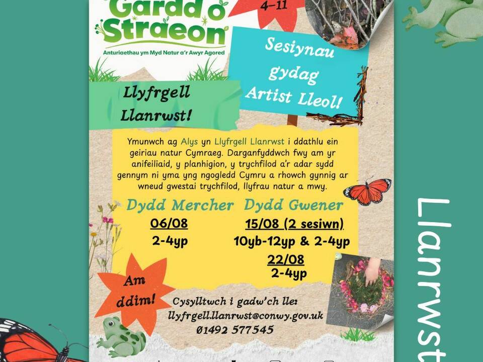 Sesiynau Crefft Artistiaid yn Llyfrgell Llanrwst gyda Creu Conwy!